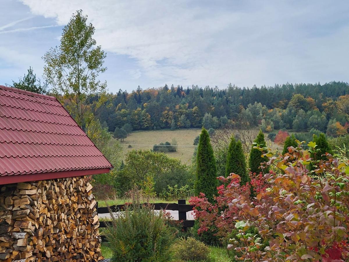 Wirchnia Villa